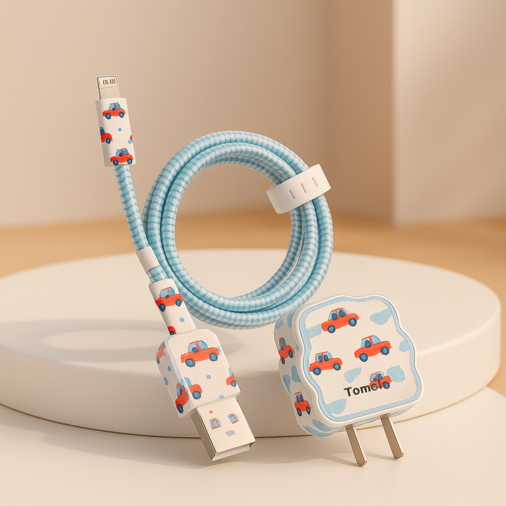 Blue Gingham Iphone Charger Case✨🔌